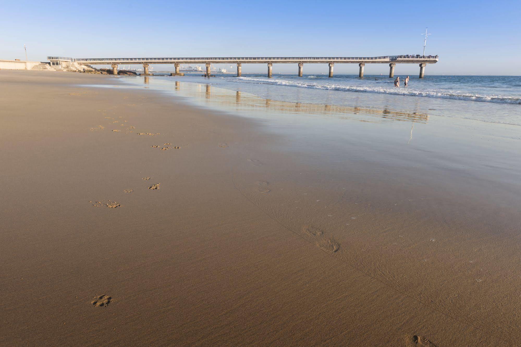 Beachwalk Bed And Breakfast - #Solar Energy #No Loadshedding Port Elizabeth Exterior foto